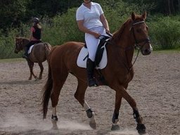 img-00371-534